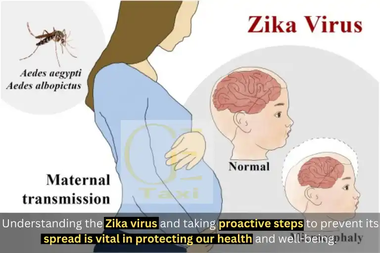 Safety Zika Virus